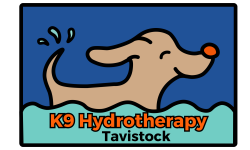 K9 Hydrotherapy Tavistock